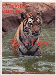 Tiger Tiger / Reverie